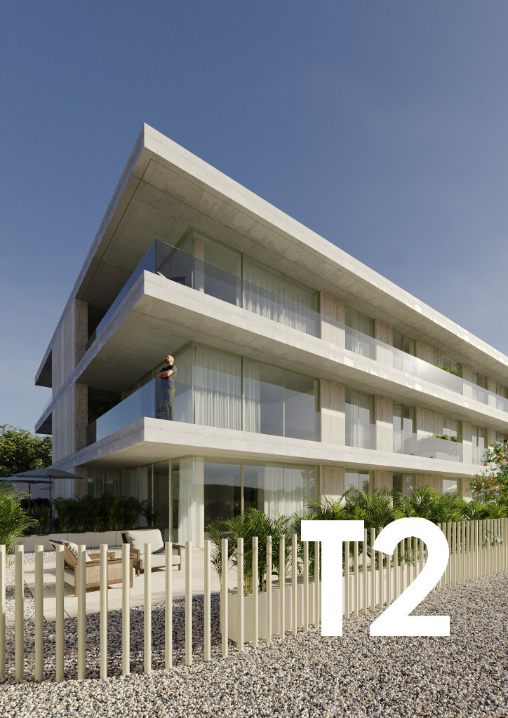 T2